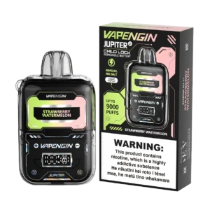 6500 puffs cool mint